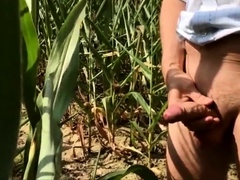 Summer, Sun, Corn & Wanking & Piss