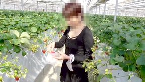 Mayu No.45: Strawberry Picking Exposure, Immediate Oral, Swallowing Specialization