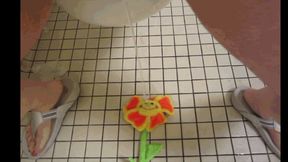 IF I COULD WATER EVERY FLOWER WITH MY URINE IMAGINE THAT PLUS ALMOST CLOGGING THE TOILET WITH A HUGE LOG