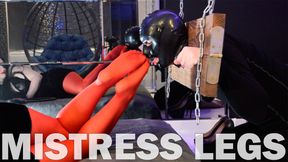 Shackled Slave Worships Mistress&#039;s Red Nylon Legs