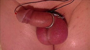 cum milking by electro-sex device