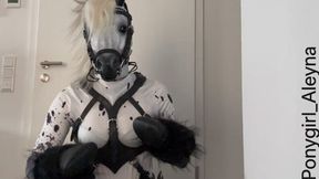 PonyGirl on all Fours MP4