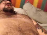 Solo bear Québec