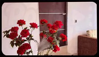 Sizzling Latina Showdown: Amateur Wife Takes on a Friend