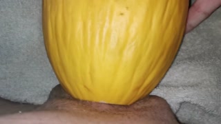 Big dick fucking Watermelon ( canari ) close up