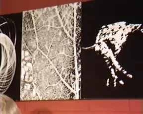 Studio babe shows off her pierced twat and big nips