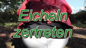 Crush acorns - Eicheln zertreten