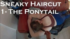 Sneaky Haircut 1- The Ponytail SD