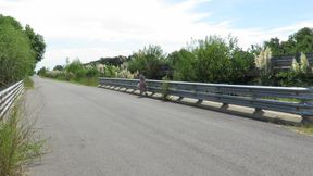 Patricia on the Bridge Over the Road