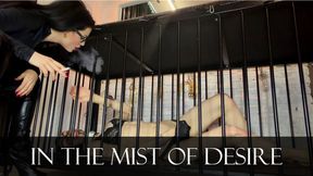 In the Mist of Desire