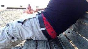 Dick Stroking at the Beach, Jerking off My Hard Cock