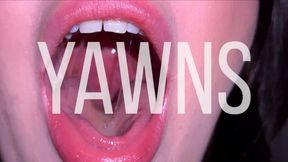 Big Yawns Close Up & Uvula Fetish
