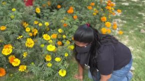 The helpless maid and the greedy country: Lack of money?