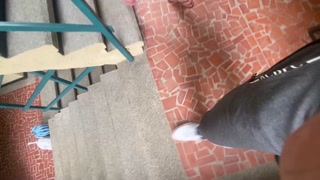 Pone su vibrador en el parqueadero y se pone cachonda