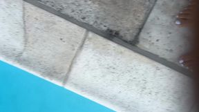 Guess what happens to these ants