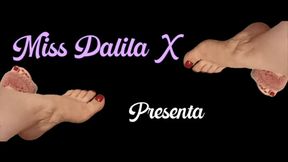 Miss DalilaX joi feet