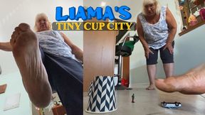 Liamas Tiny Cup City - HD 1080p Version