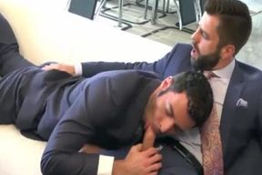 faggots In Suits plumb
