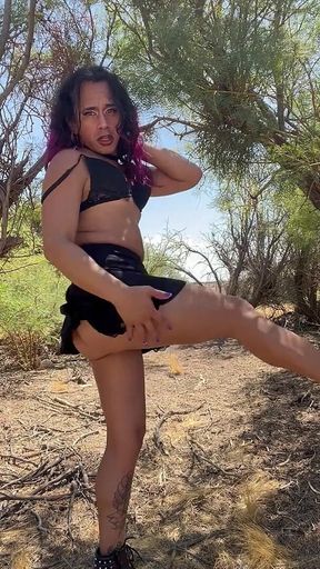 TS Desert Stripper Strips Again