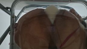 Trans Fat Ass Gwen Facesitting and Anal Fucked with Creampie Through Clear Chair for the First Time.