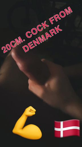 Danish Cock