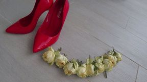 I crushed a lot of roses with red shoes c