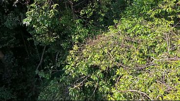 Drone Flagra casal transando na trilha do morro Itacolomi em Gravatai