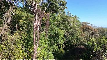 Drone Flagra casal transando na trilha do morro Itacolomi em Gravatai