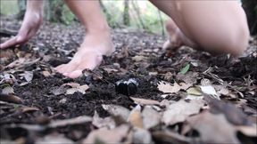 Tiny Wonderland 3 ! (forest/outdoor/pov/throat/feet/butthole)