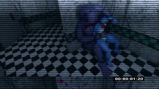 Bonnie to Bonnie