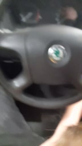 Car wash public blowjob