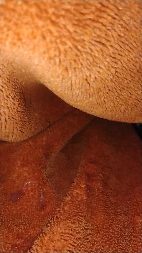 Hot shot in the blanket