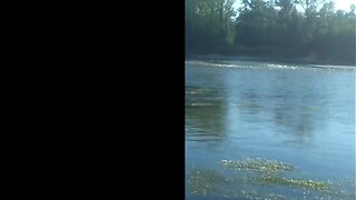 river bate - sega al fiume