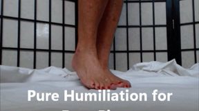Foot Fetish Pure Humiliation for My Pussy Free Foot Piggy HD (WMV)