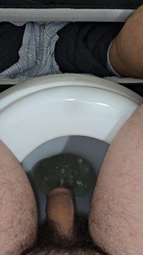 Male Pissing Toilet Compilation (9 Pees)   Clip 2