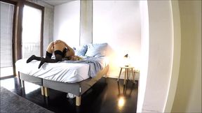 milf got fucked on bed and swallowed sperm sexy lingerie