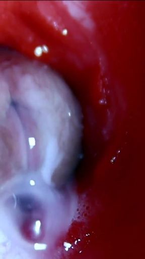 Very close huge streams of sperm in a sweet hole ASMR wet squelches   Clip 2