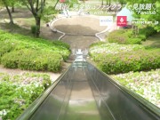 素人巨乳女子大生と公園デート♡汗だくで濃厚中出しセックスで痙攣イキ　日本人　フェラ　カップル　主観　おっぱい　スタイル抜群　美女　ハメ撮り　個人撮影　手コキ　無修正　まろちゃんねる