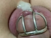 Anal vibes chastity cage sissygasm