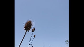 Outdoor Touch 3