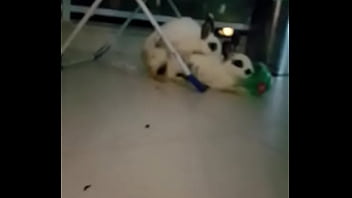 VID-20160925-WA0416