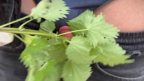 Exploring Unique Sensations: The Intriguing World of Nettle Play