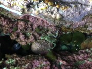 Would you like to be penetrated in a deep way in a deep spectacular cave? - Manlyfoot road trip