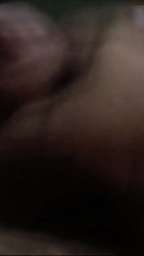 Big extra thick pole shoots