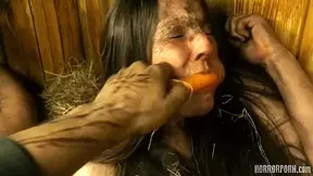 HORRORPORN - Rabbit hutch