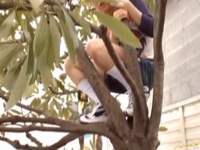 Hot Asian Doll Meisa Hanai Teaches Steamy Sex Education Lessons