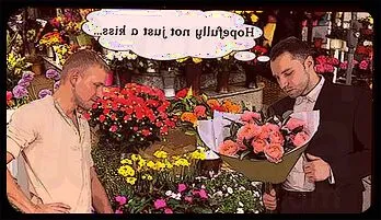 Epic Cartoon Party with Drago & Molly watch online