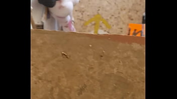 Grave a esta perra con un culotte bien abiertote cuando se agacha