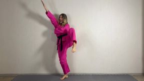 karate technique, demonstration of wushu strikes as well as karate kicks