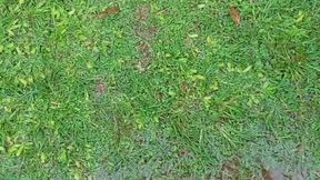 Pies Mojados y barro: placer bajo la lluvia.